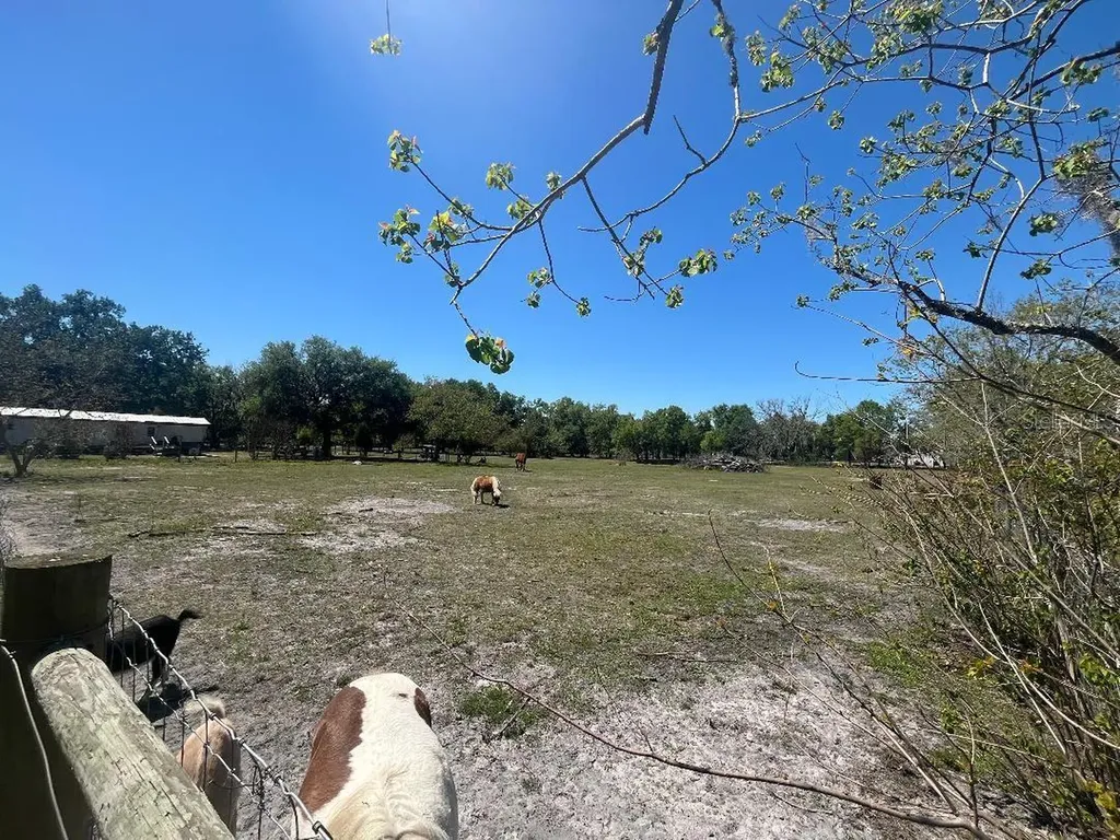 28538 Rice Road San Antonio FL 33576