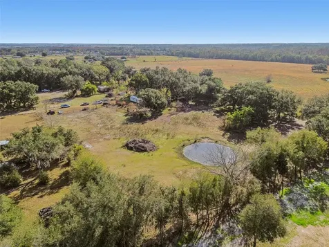 28538 Rice Road San Antonio FL 33576