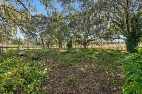 28538 Rice Road San Antonio FL 33576