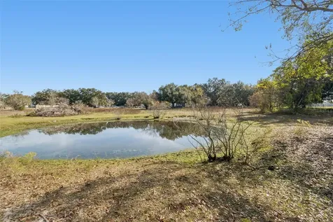 28538 Rice Road San Antonio FL 33576