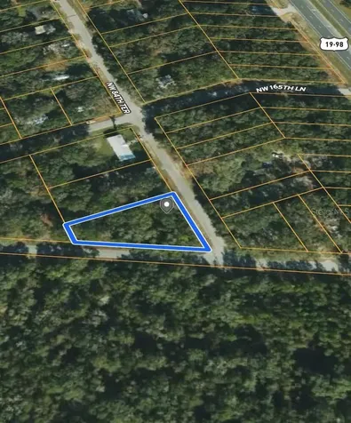 NW 165th Street Trenton FL 32693