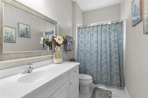 13732 Old Creek Court Parrish FL 34219