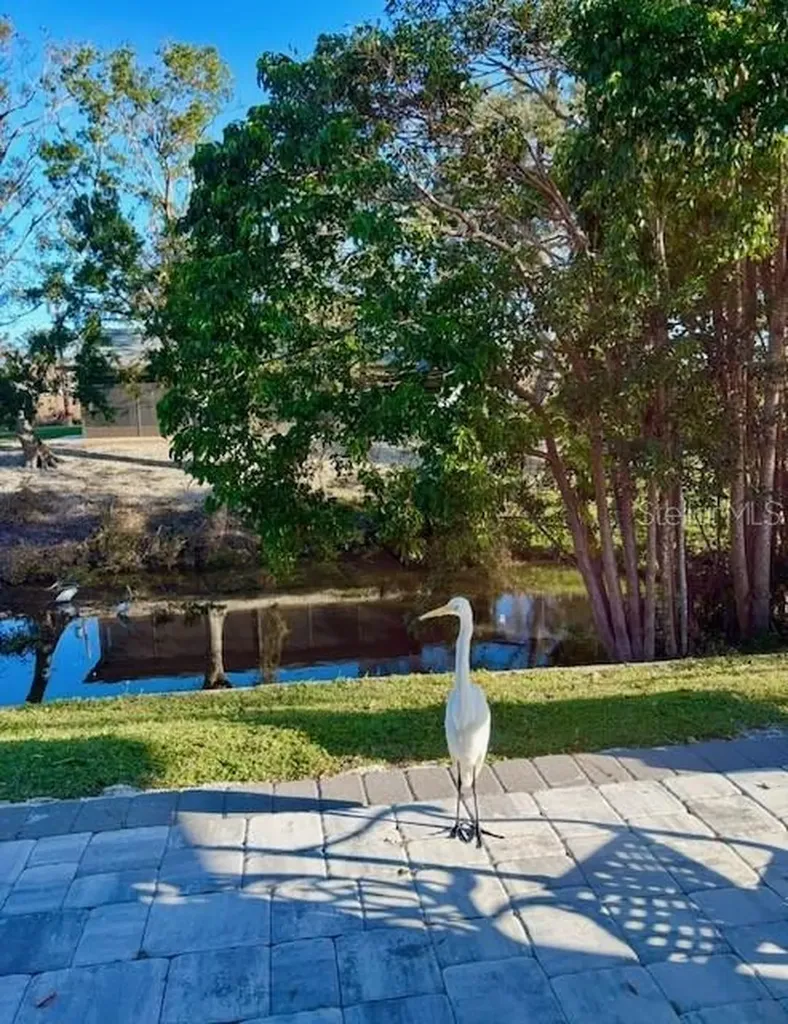 3149 Homasassa Road Sarasota FL 34239