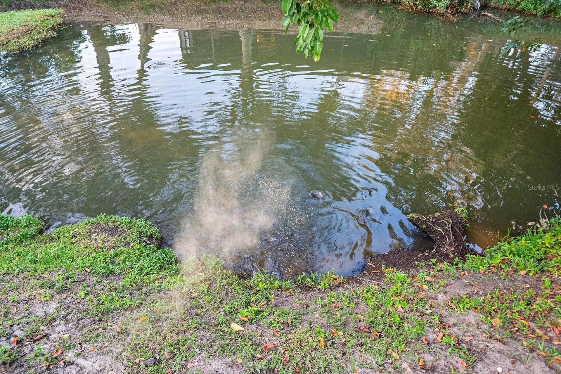 3149 Homasassa Road Sarasota FL 34239