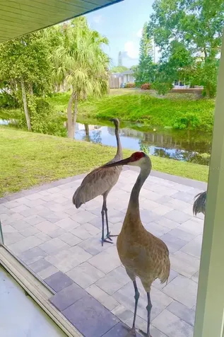 3149 Homasassa Road Sarasota FL 34239
