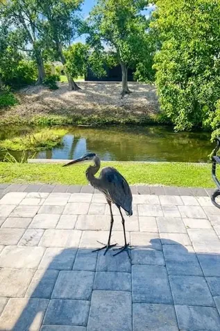 3149 Homasassa Road Sarasota FL 34239