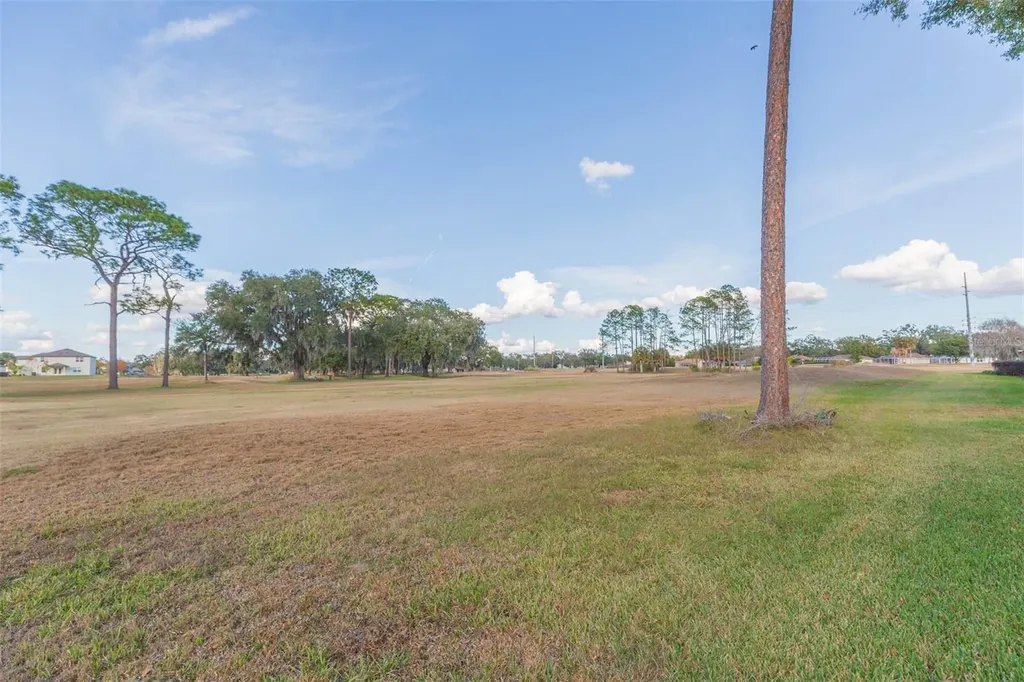 6545 Brentwood Drive Zephyrhills FL 33542