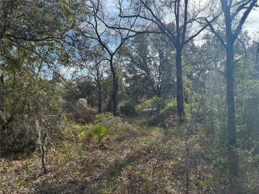 SE 126th Terrace Dunnellon FL 34431
