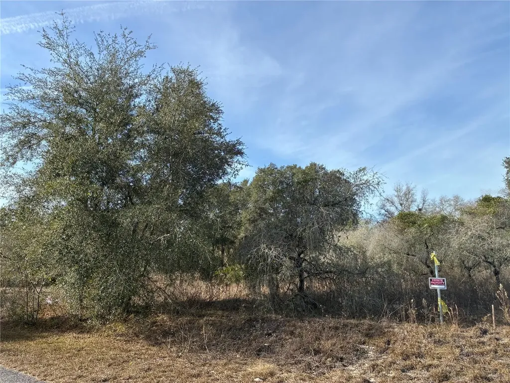 SE 126th Terrace Dunnellon FL 34431