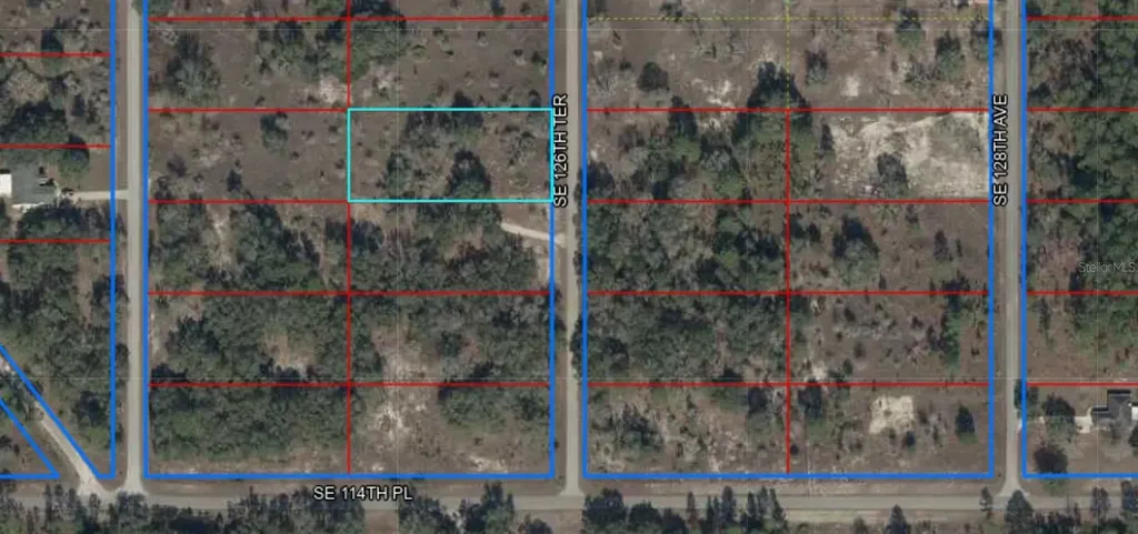 SE 126th Terrace Dunnellon FL 34431