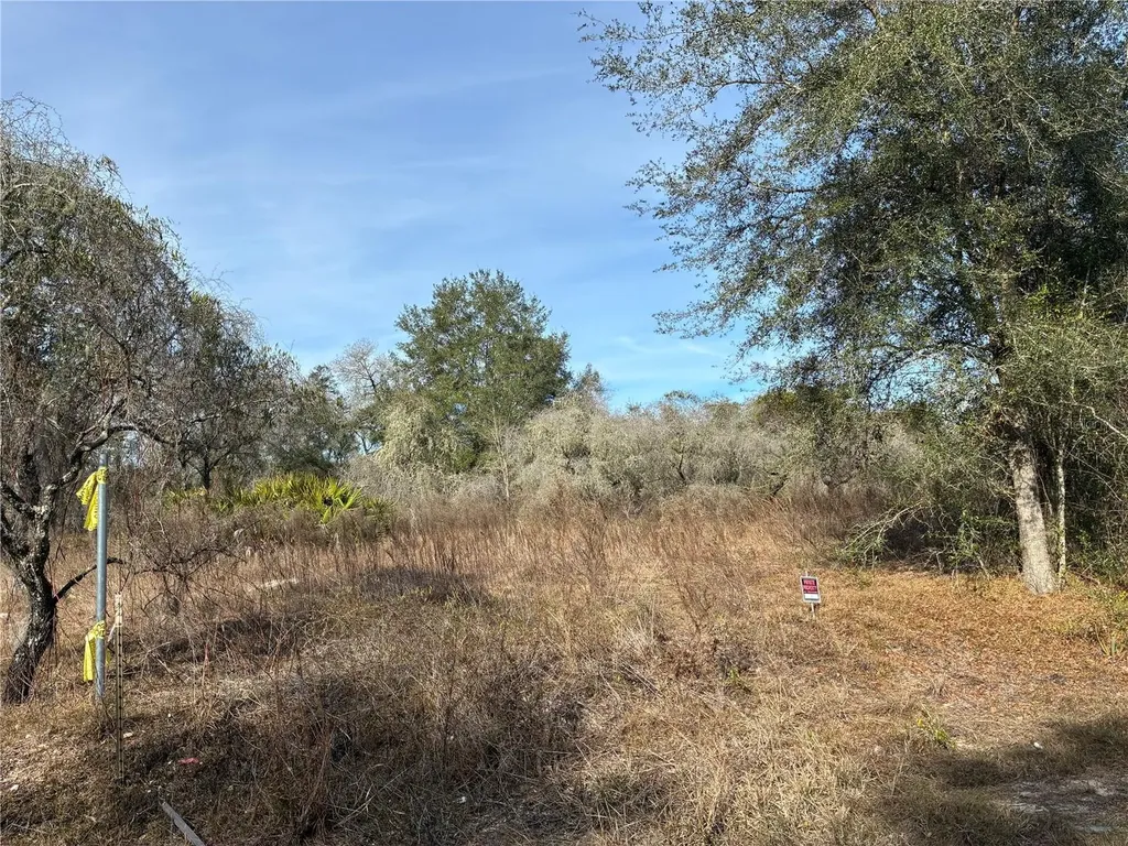 SE 126th Terrace Dunnellon FL 34431