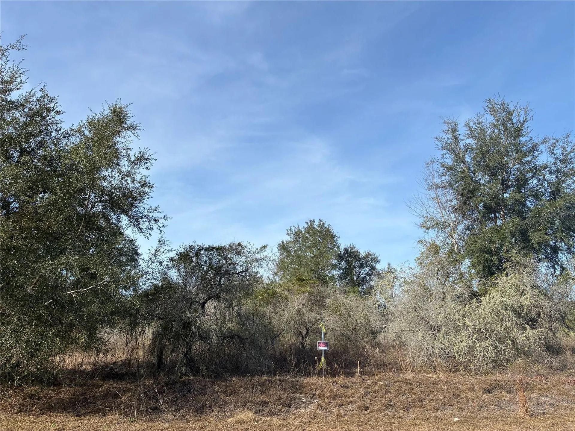 SE 126th Terrace Dunnellon FL 34431