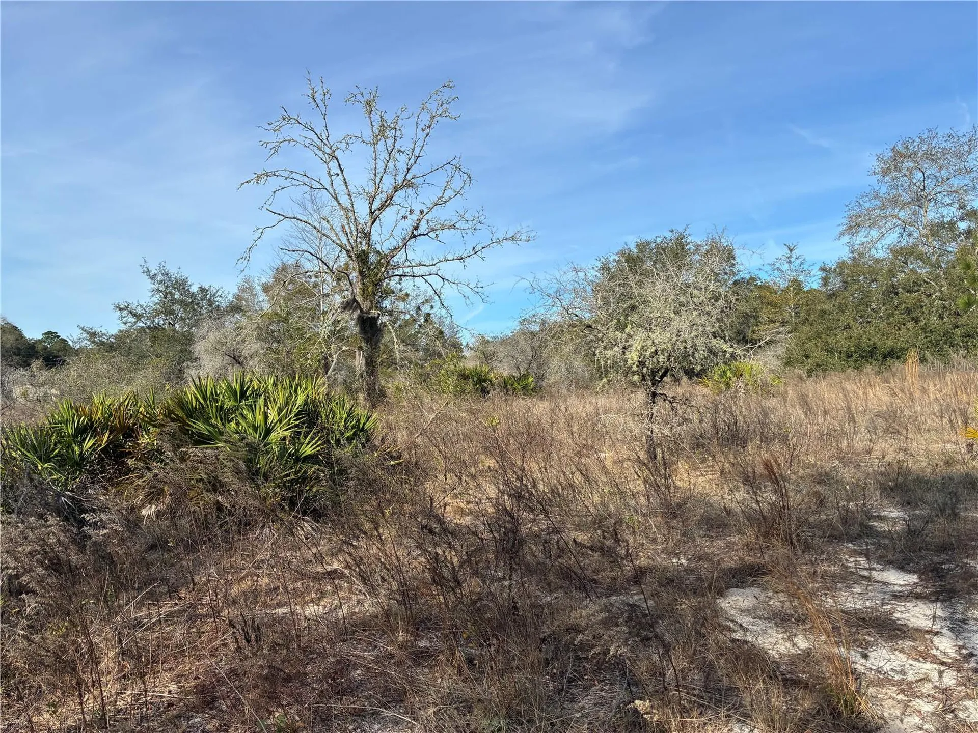 SE 126th Terrace Dunnellon FL 34431