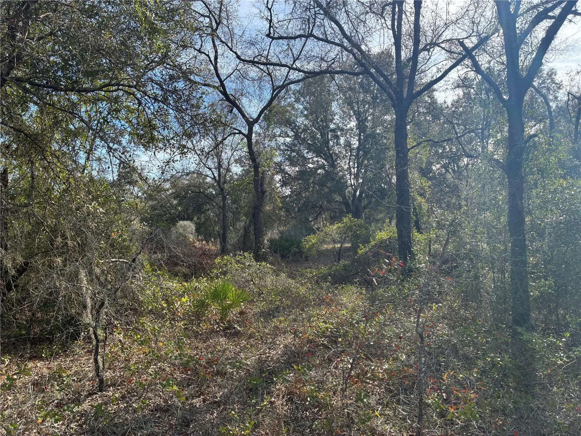 SE 126th Terrace Dunnellon FL 34431