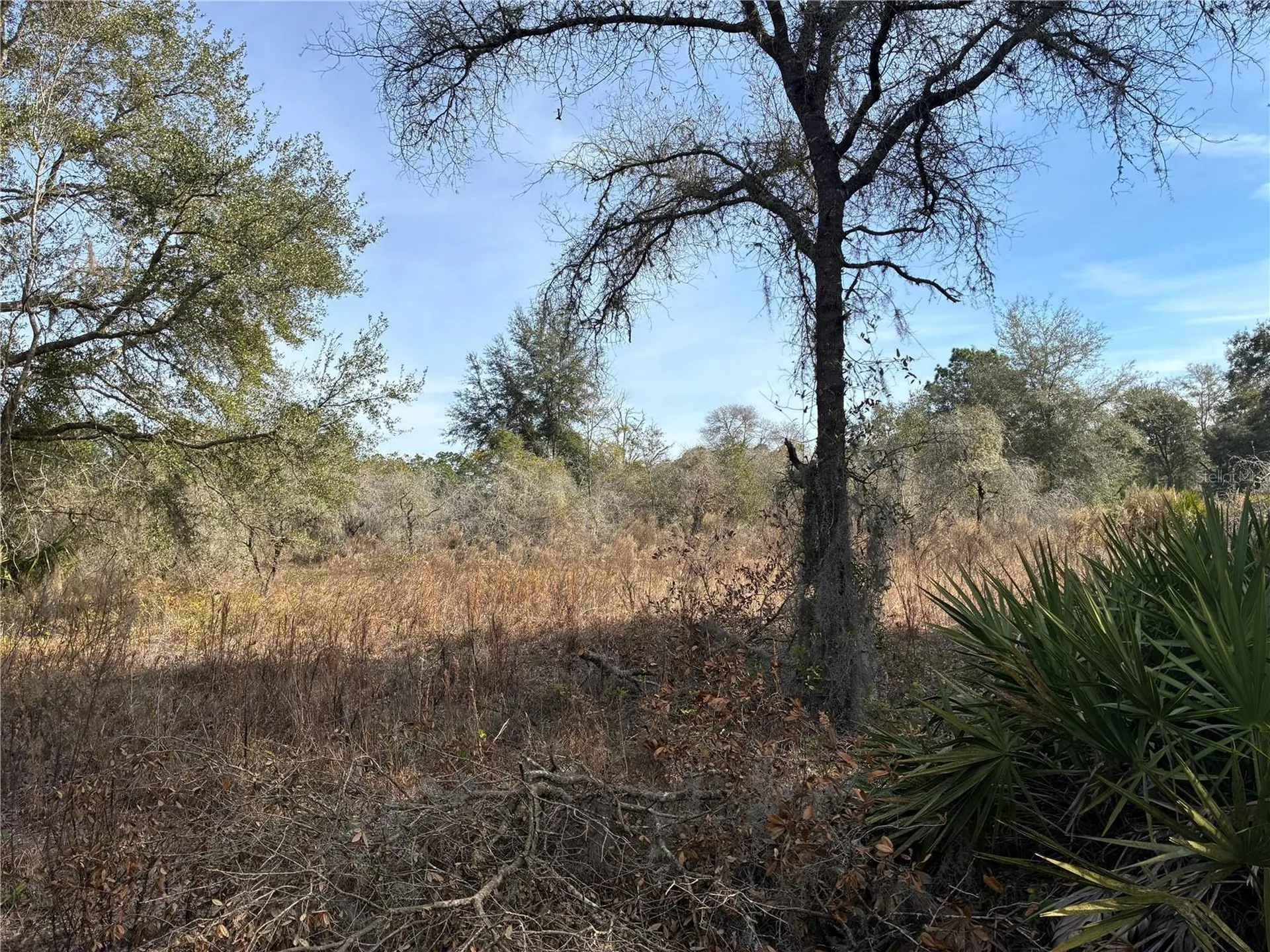 SE 126th Terrace Dunnellon FL 34431