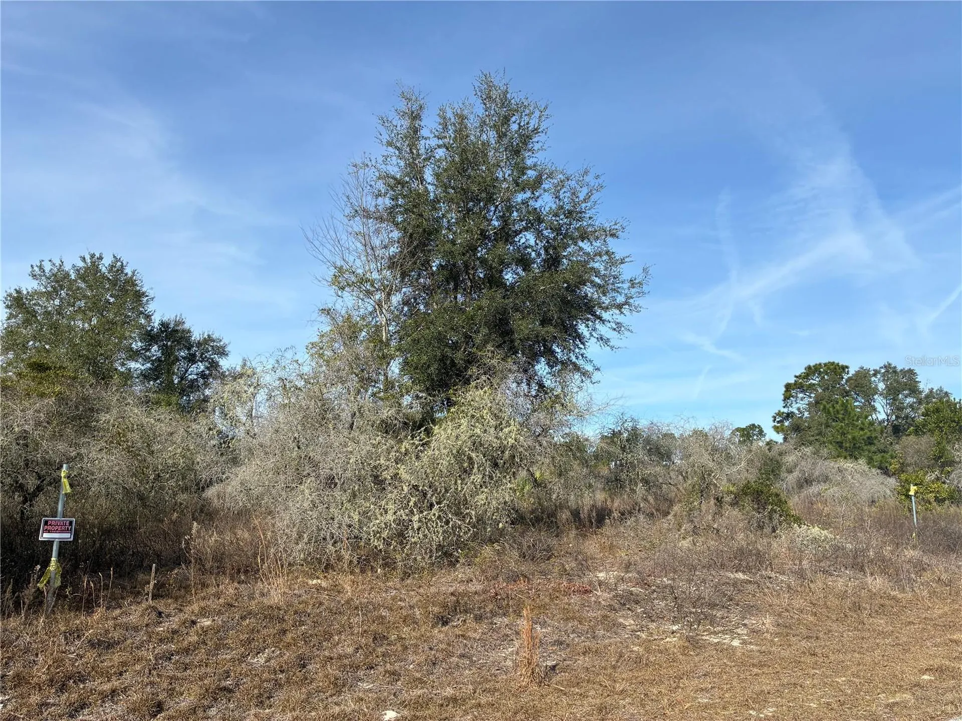 SE 126th Terrace Dunnellon FL 34431