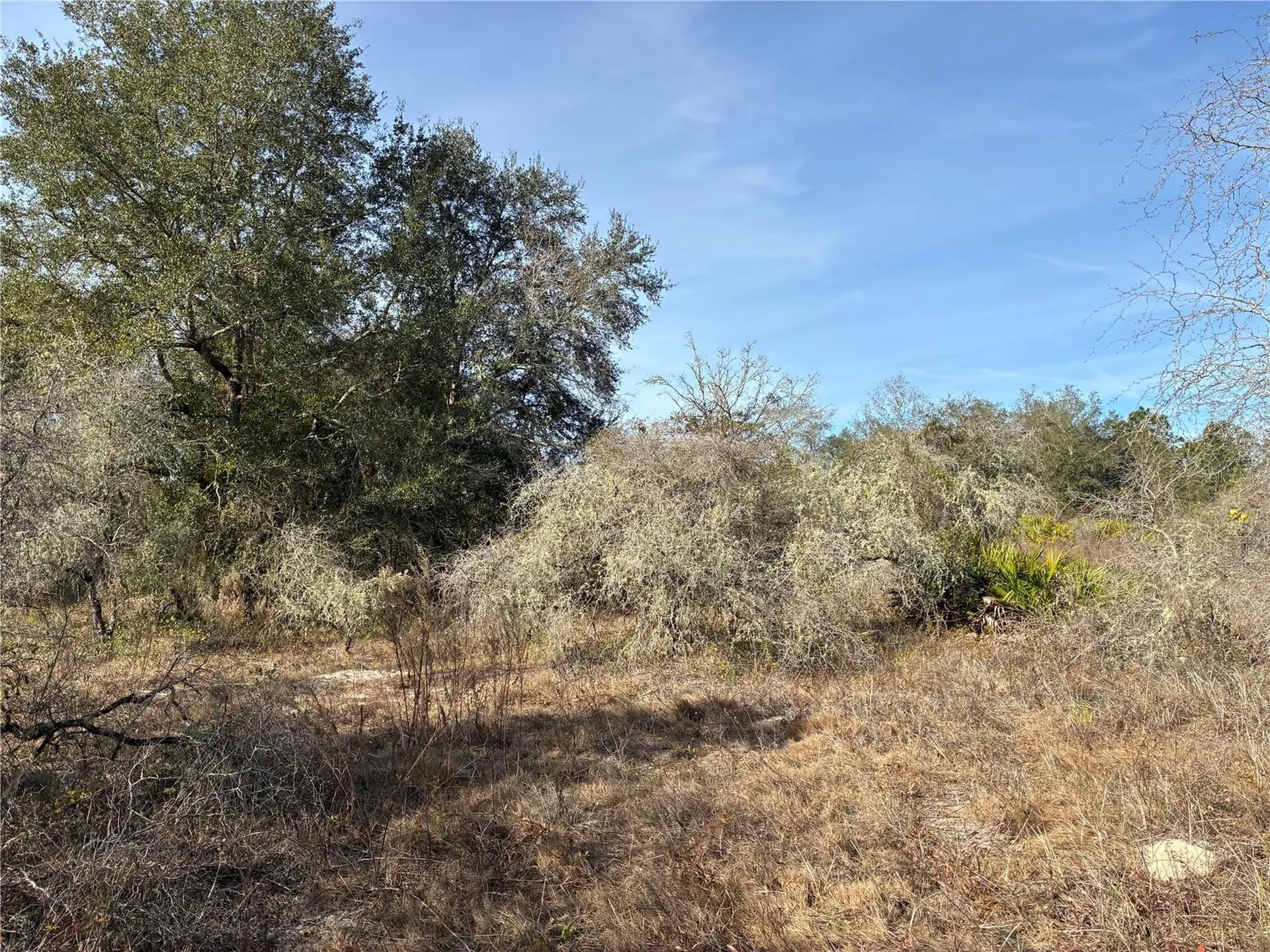 SE 126th Terrace Dunnellon FL 34431