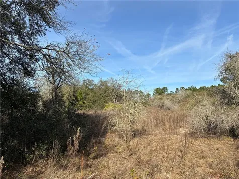SE 126th Terrace Dunnellon FL 34431
