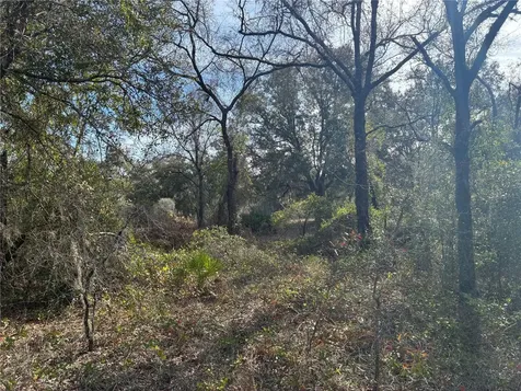 SE 126th Terrace Dunnellon FL 34431