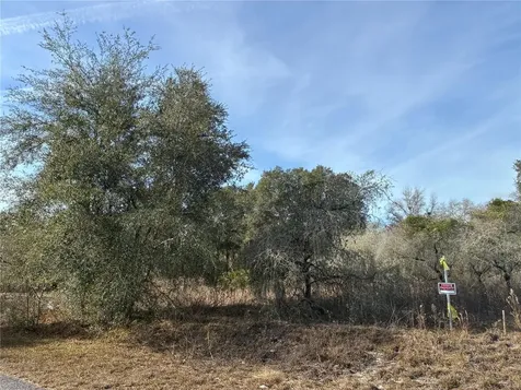 SE 126th Terrace Dunnellon FL 34431