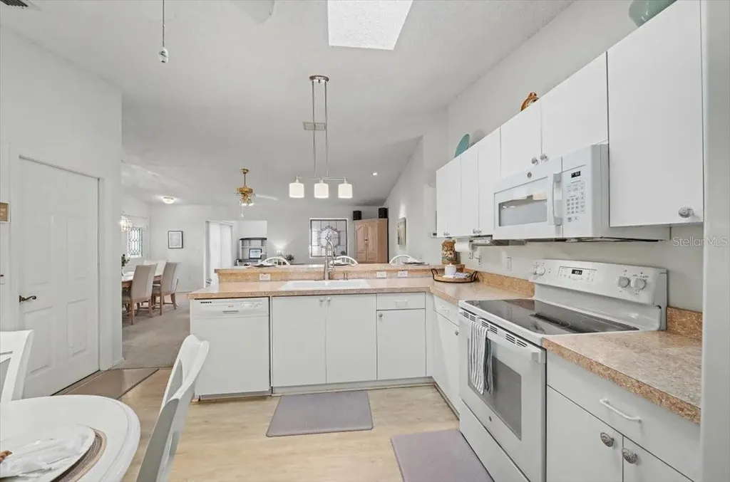2584 Acosta Court The Villages FL 32162