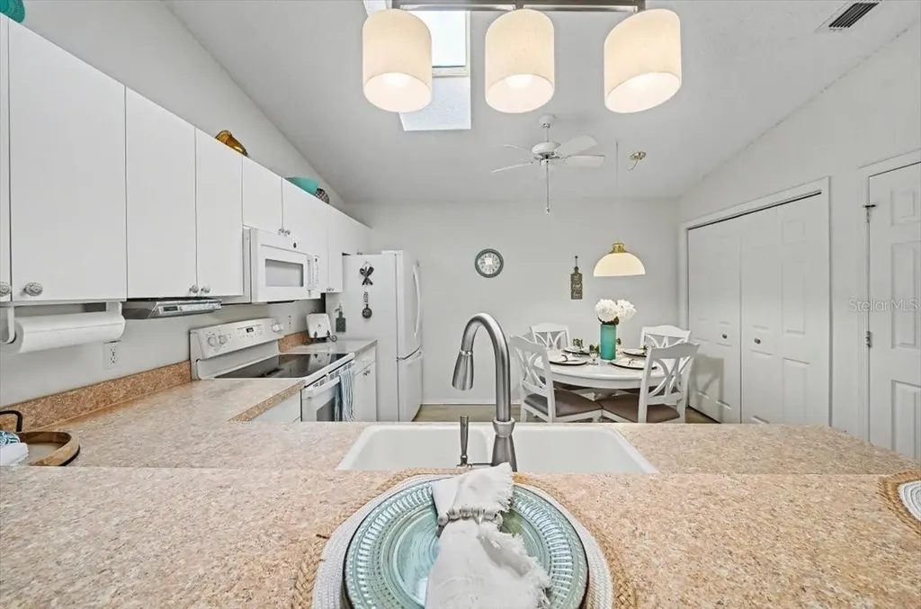 2584 Acosta Court The Villages FL 32162