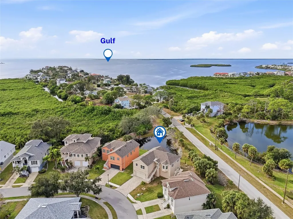 1083 S Pointe Alexis Drive Tarpon Springs FL 34689