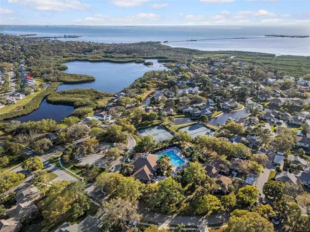 1083 S Pointe Alexis Drive Tarpon Springs FL 34689