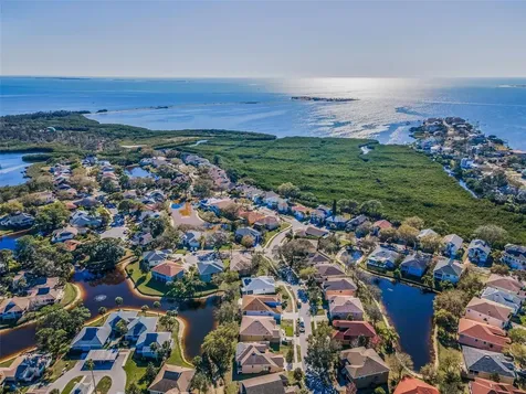 1083 S Pointe Alexis Drive Tarpon Springs FL 34689