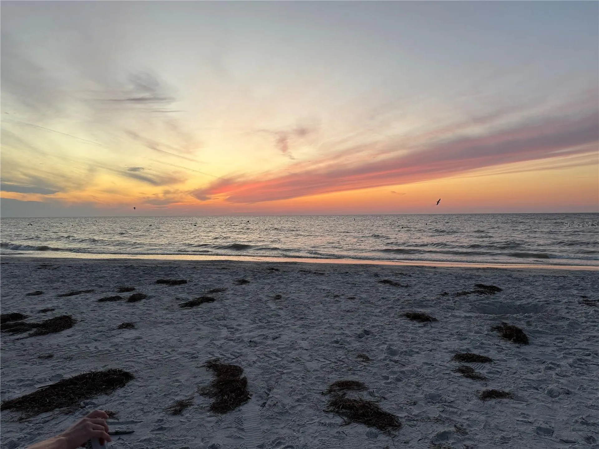 1100 E Bay Drive Largo FL 33770