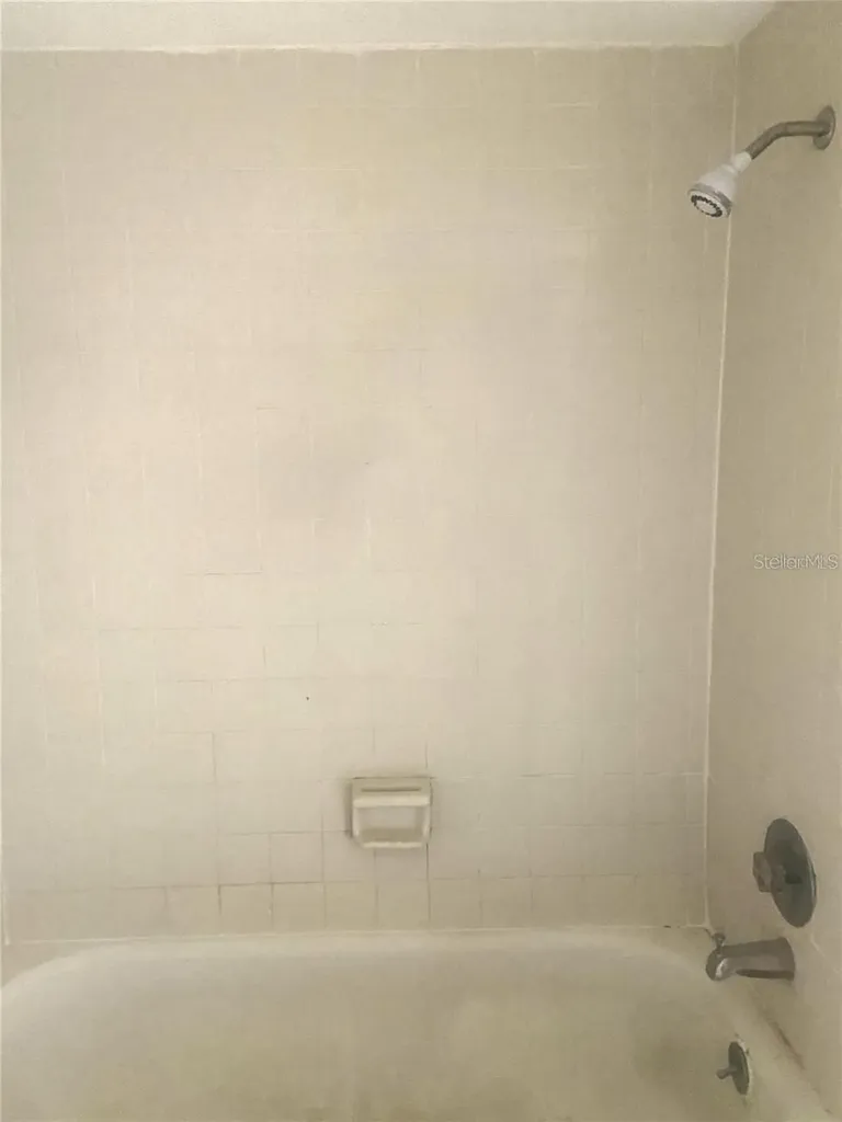4133 Dolphin Drive Tampa FL 33617