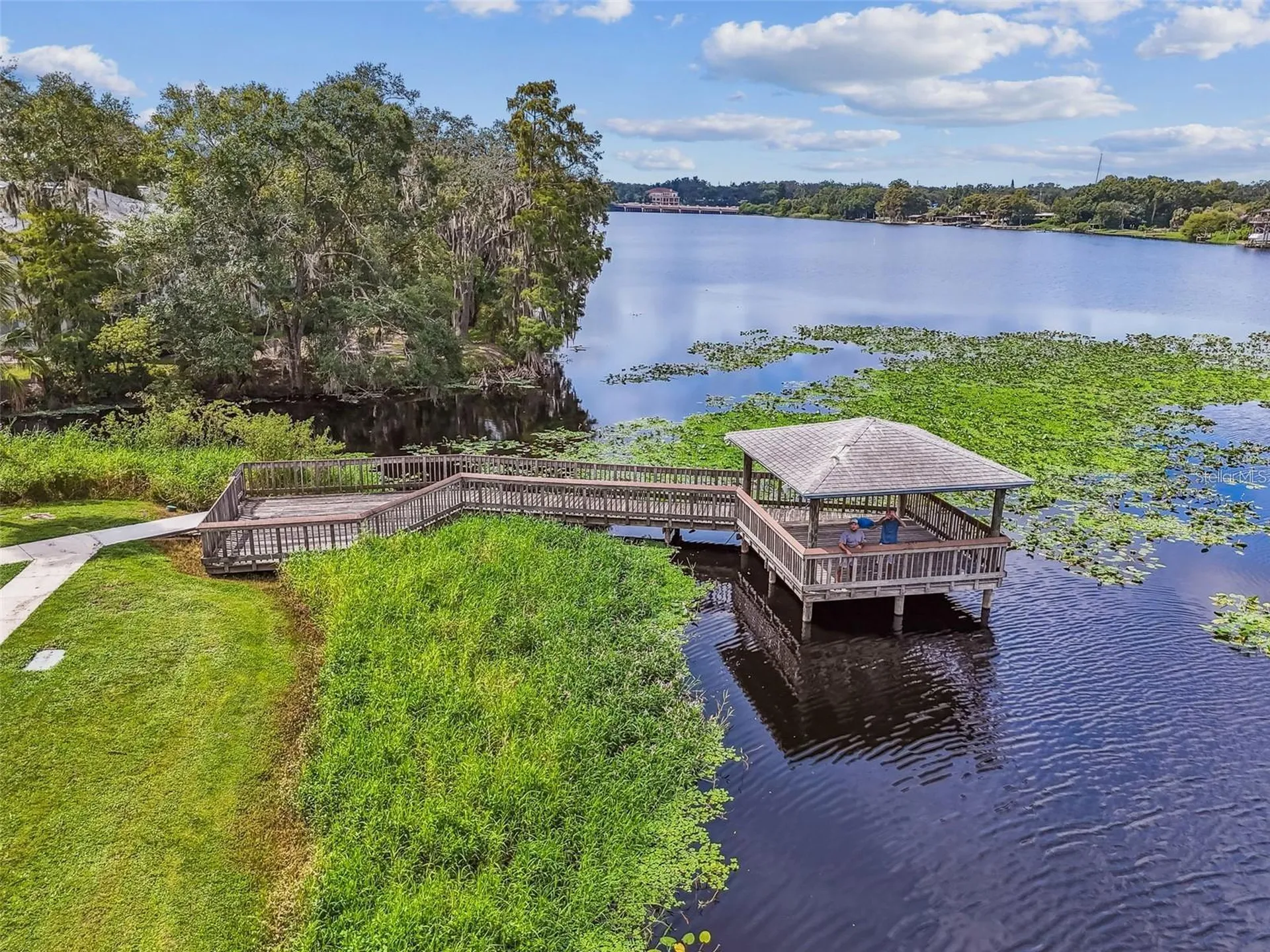 4133 Dolphin Drive Tampa FL 33617