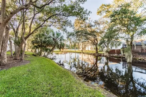 4133 Dolphin Drive Tampa FL 33617