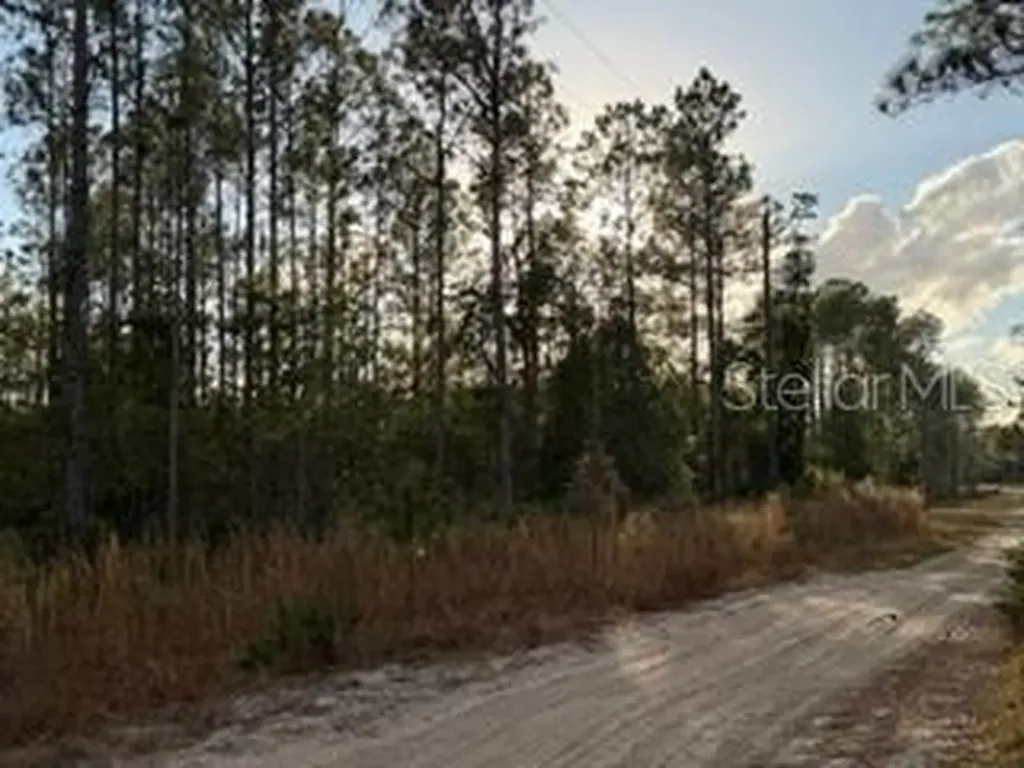 880 Still Road Pierson FL 32180