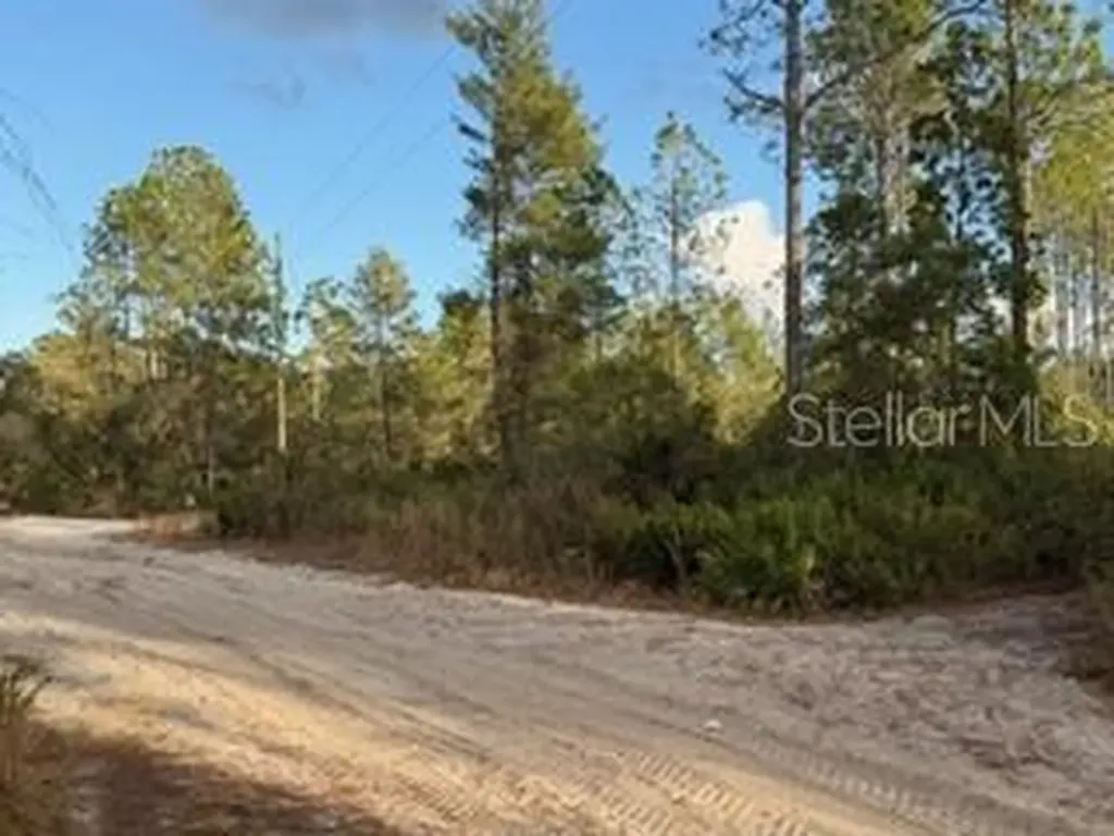 880 Still Road Pierson FL 32180