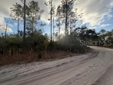 880 Still Road Pierson FL 32180