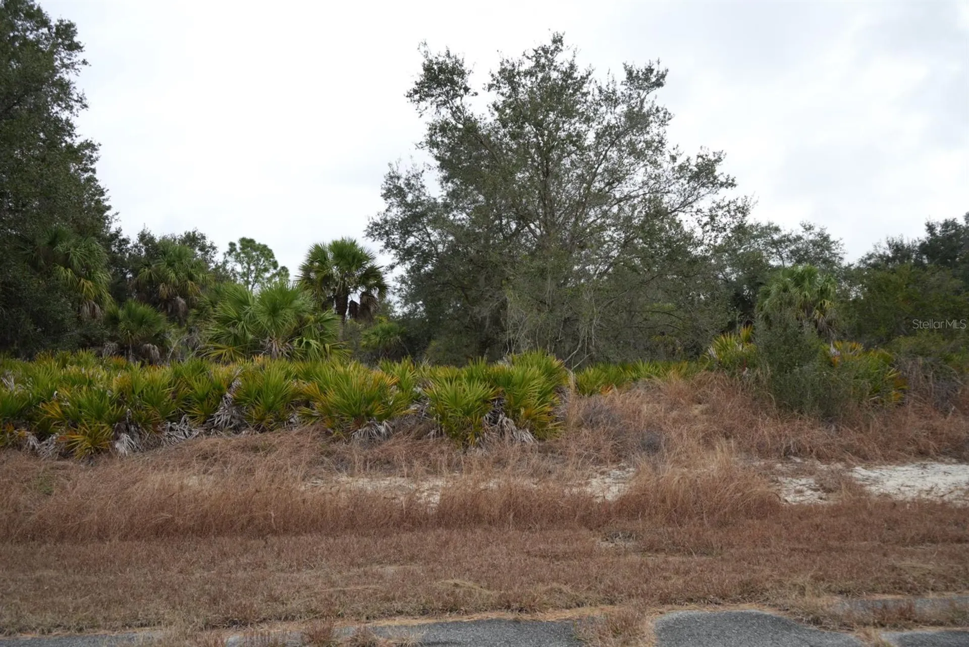 Dozier Terrace North Port FL 34288