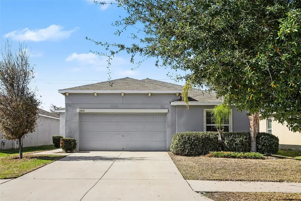 10305 Boggy Moss Drive Riverview FL 33578