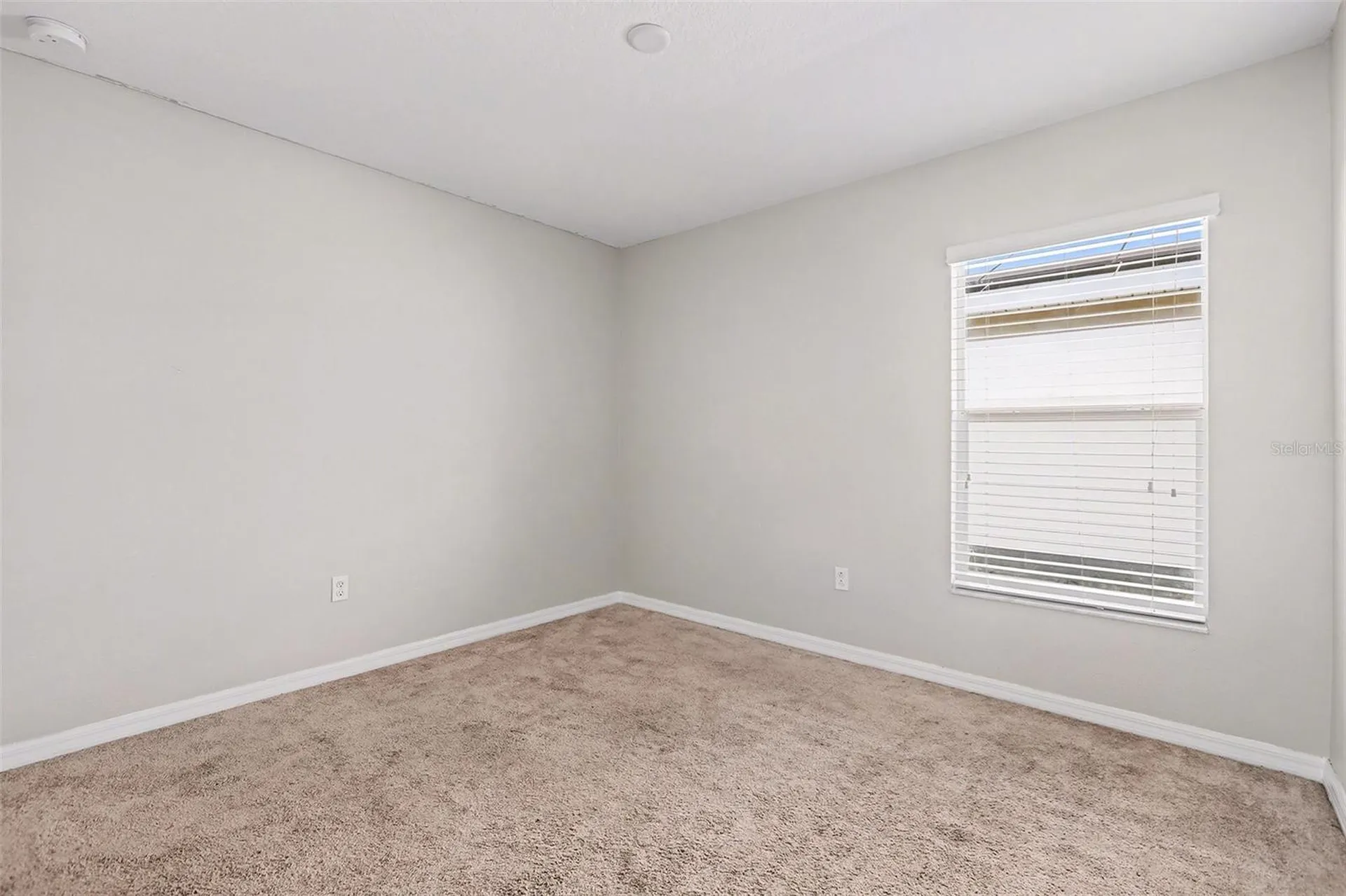 10305 Boggy Moss Drive Riverview FL 33578