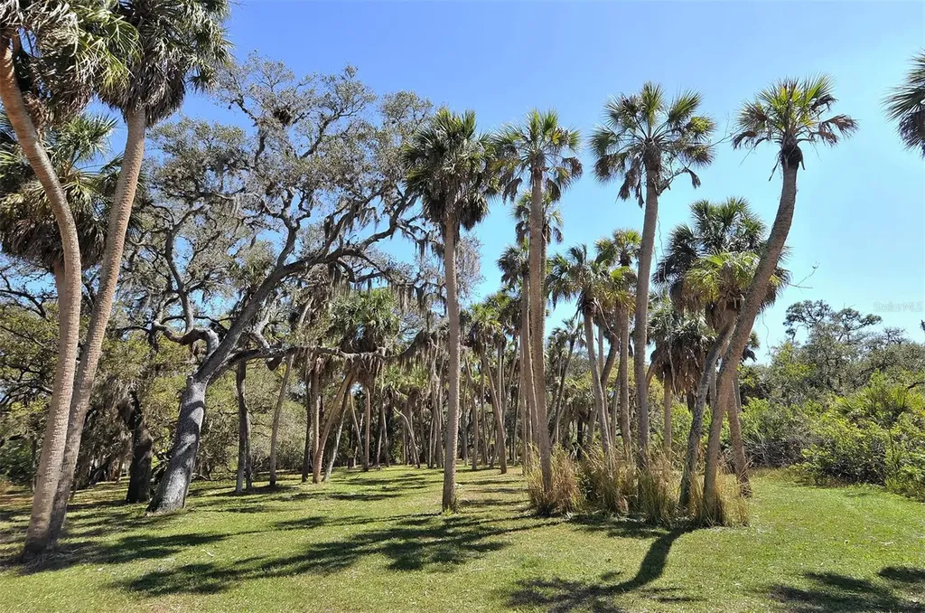 2746 Orchid Oaks Drive Sarasota FL 34239