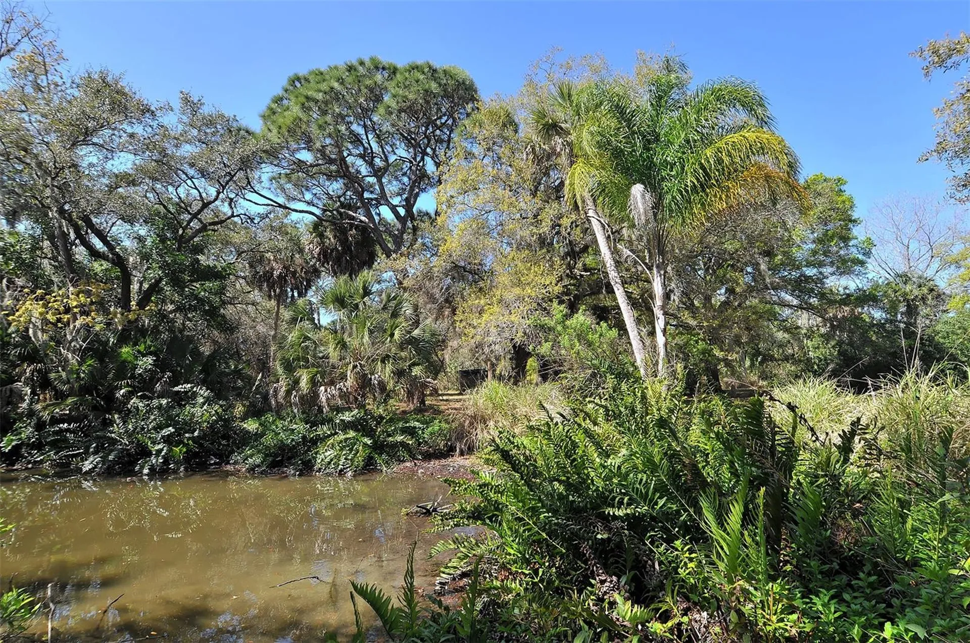 2746 Orchid Oaks Drive Sarasota FL 34239