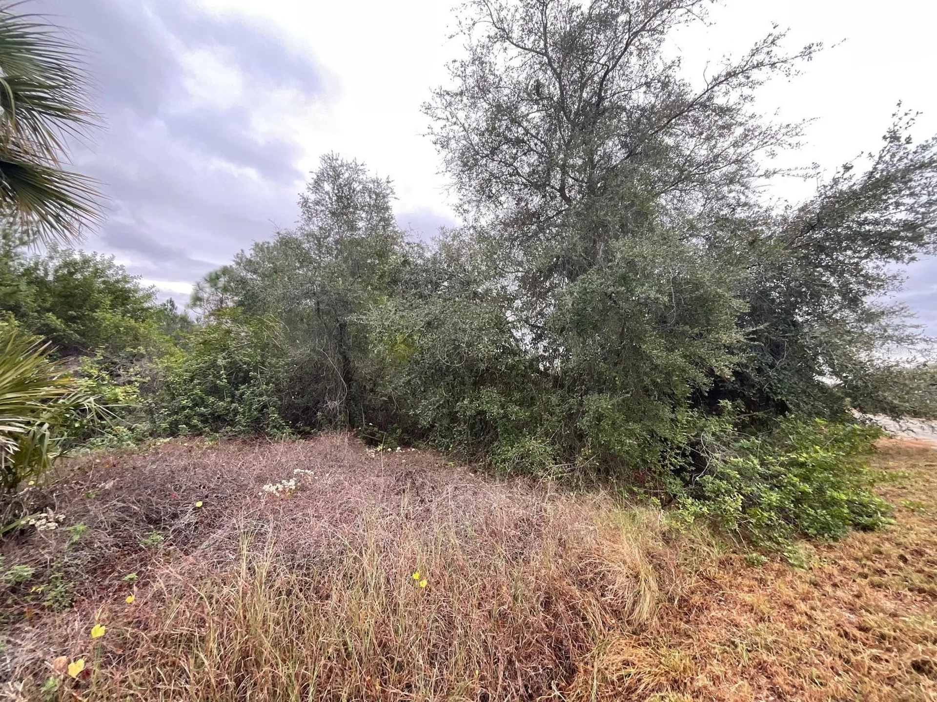 1608 Scott Avenue Lehigh Acres FL 33972