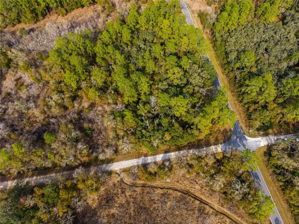 Lot 1 Chipstone Street Webster FL 33597