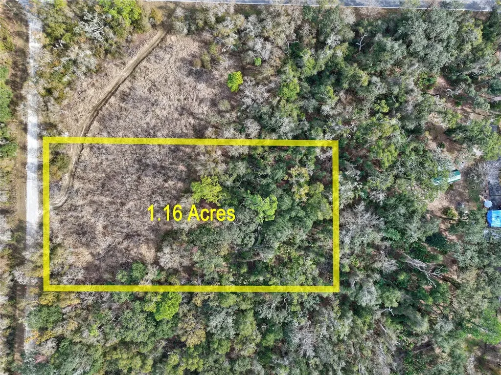 Lot 1 Chipstone Street Webster FL 33597