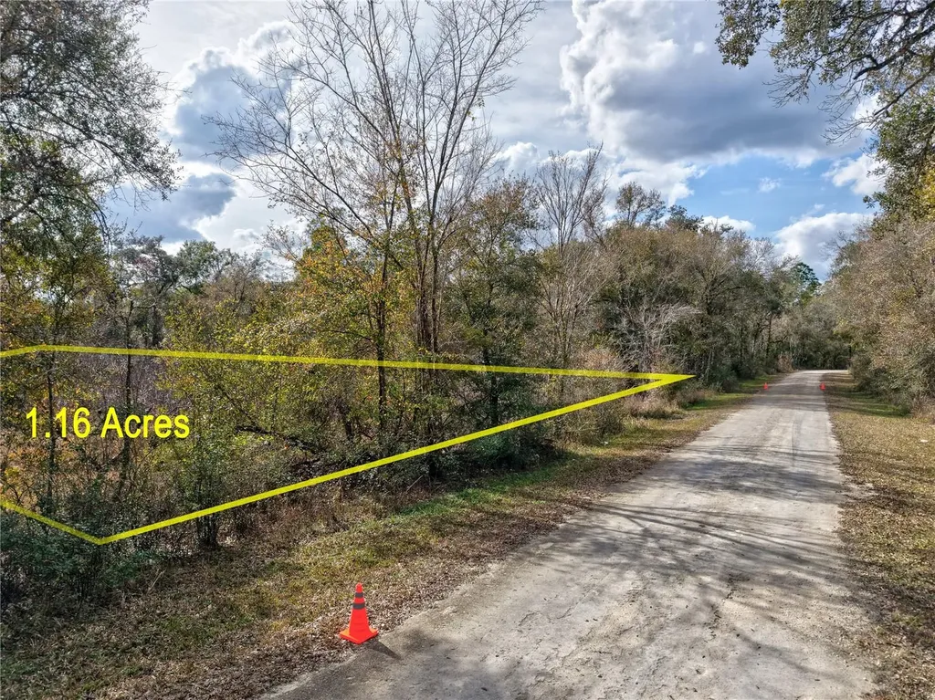 Lot 1 Chipstone Street Webster FL 33597