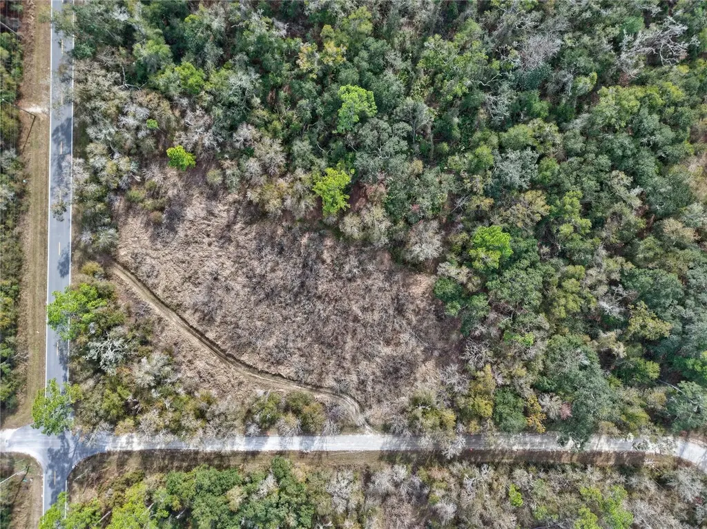 Lot 1 Chipstone Street Webster FL 33597