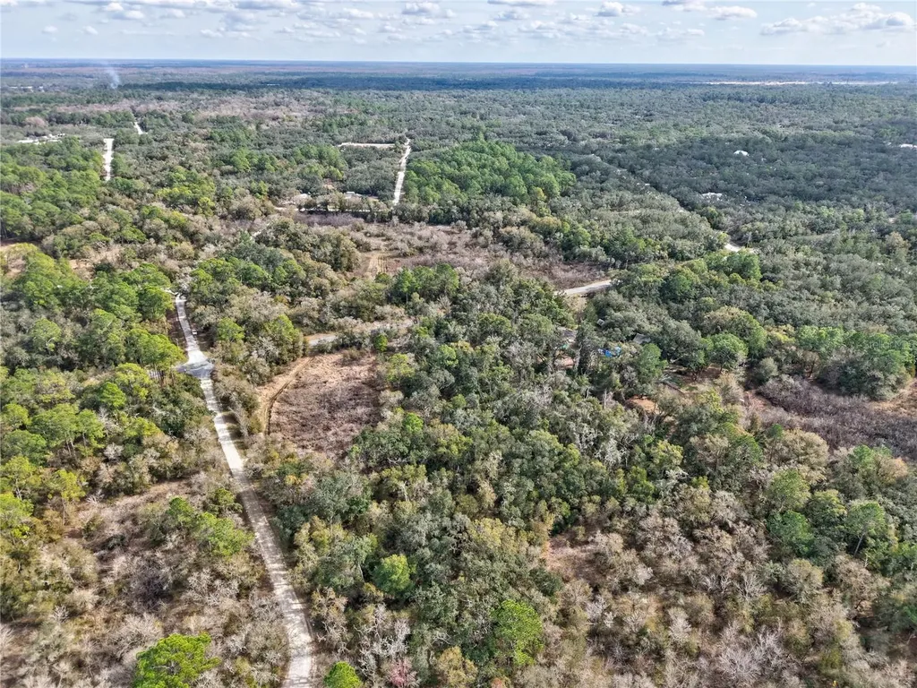 Lot 1 Chipstone Street Webster FL 33597