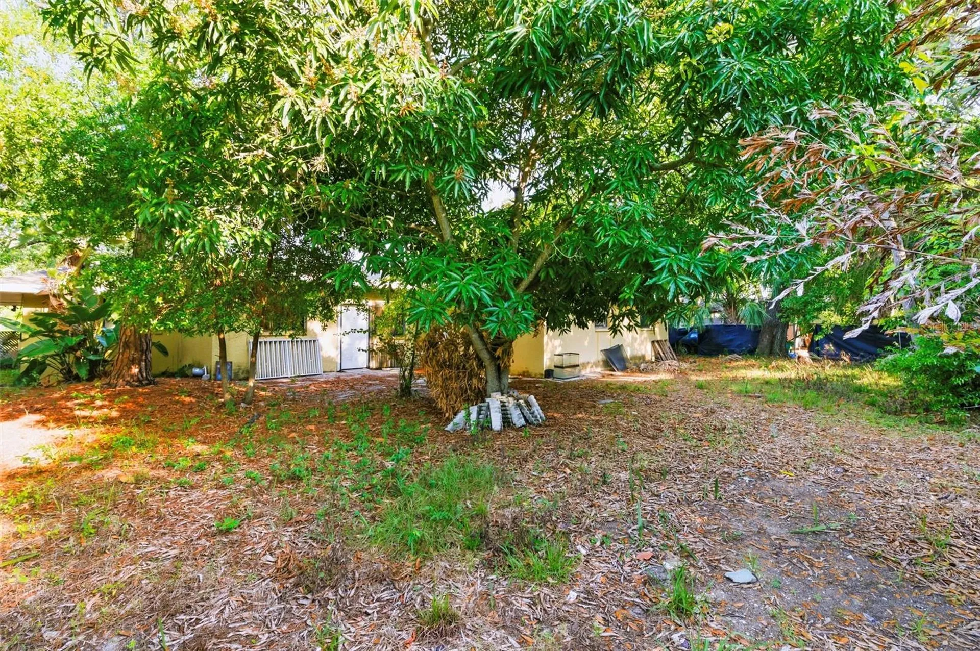 260 13th Street N St Petersburg FL 33705