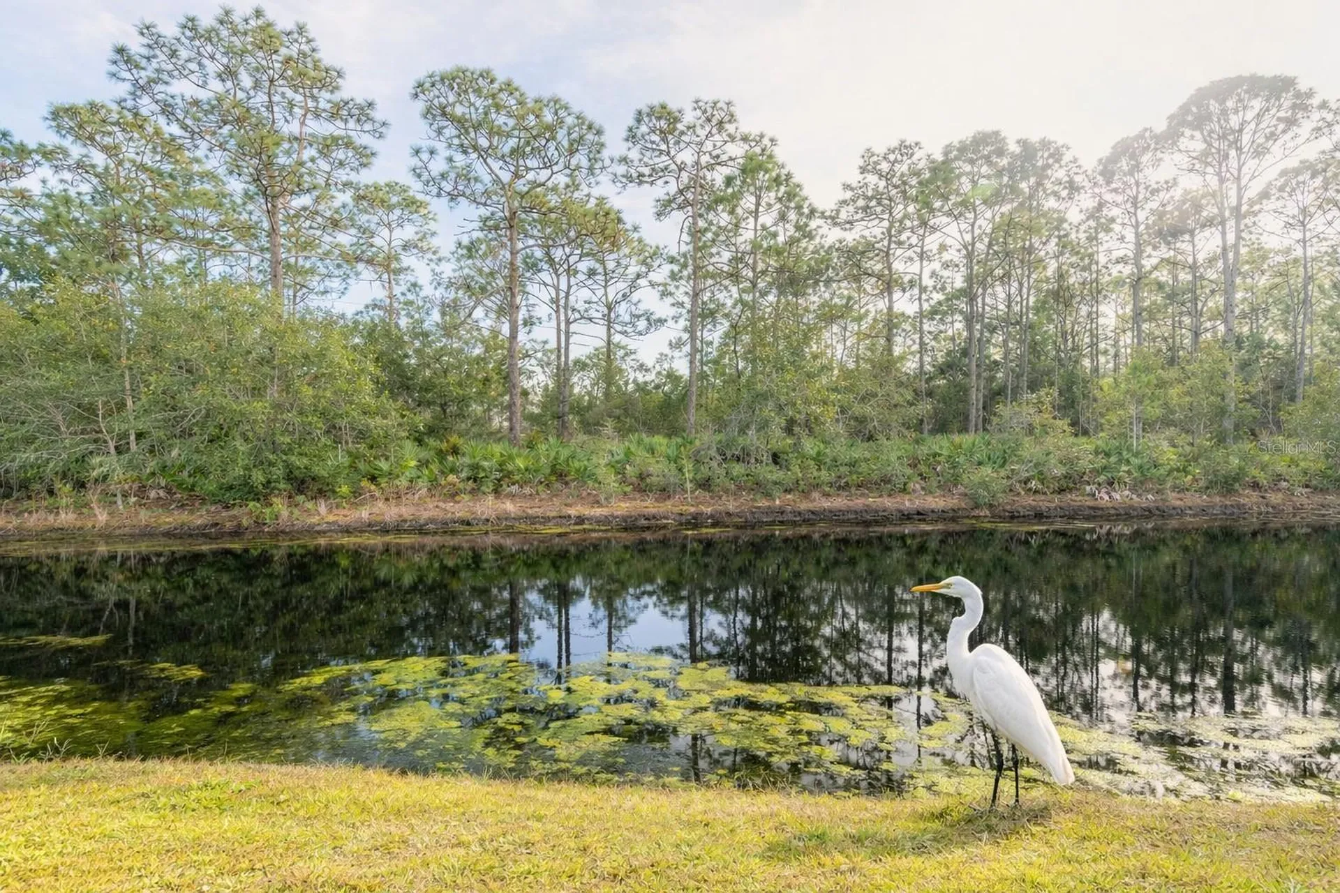 251 Orange Grove Drive Ormond Beach FL 32174