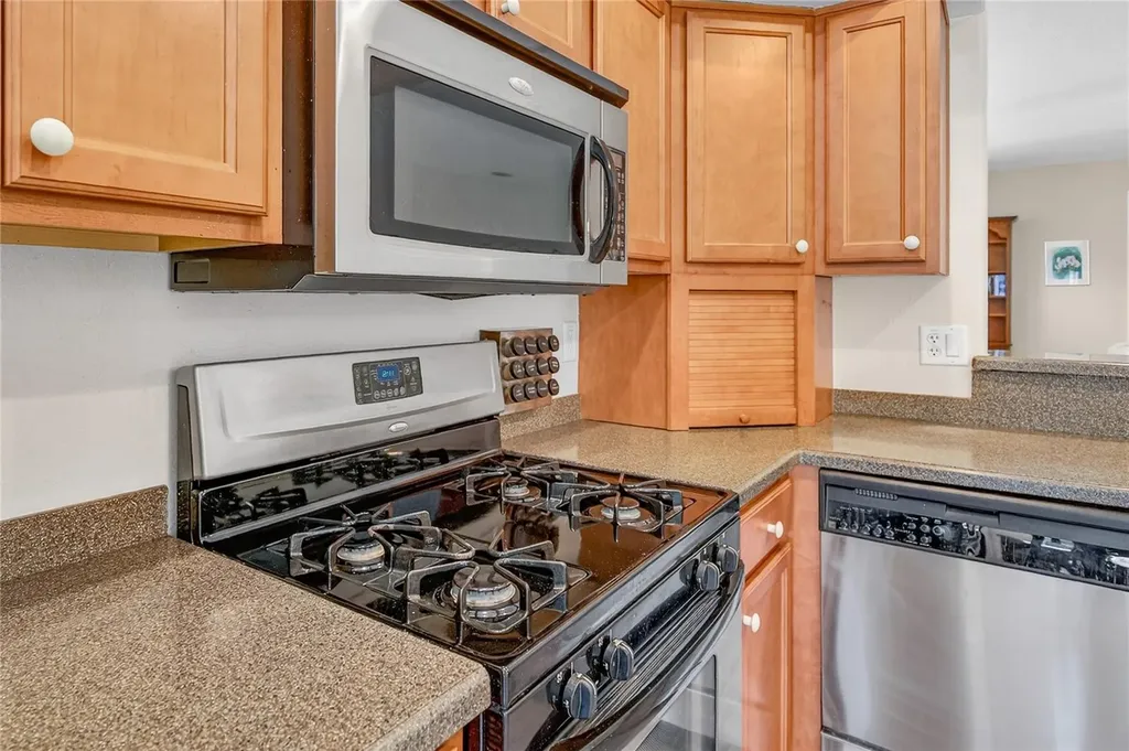 3003 New Haven Place Mount Dora FL 32757